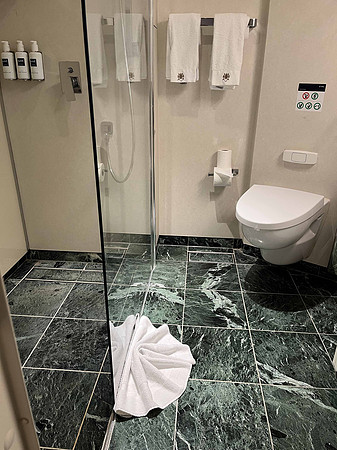pretty good size shower