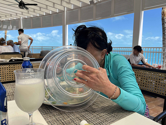 Keeping the salad from getting blown away