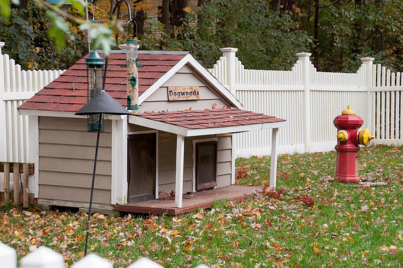 Stewie and Sir Winston's climate controlled house