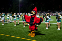 Football_110910
