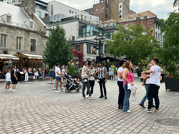 looking for restaurant to eat