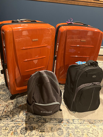 Alway take a picture of the luggage